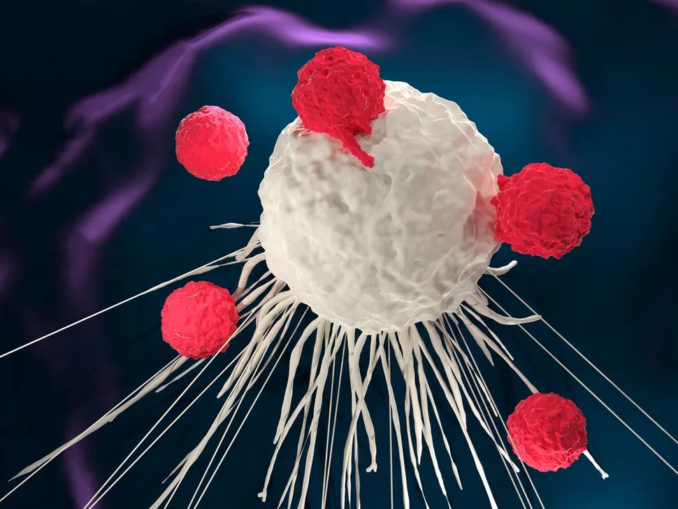 Car T-Cell Research Moves Into Clinical Practice image