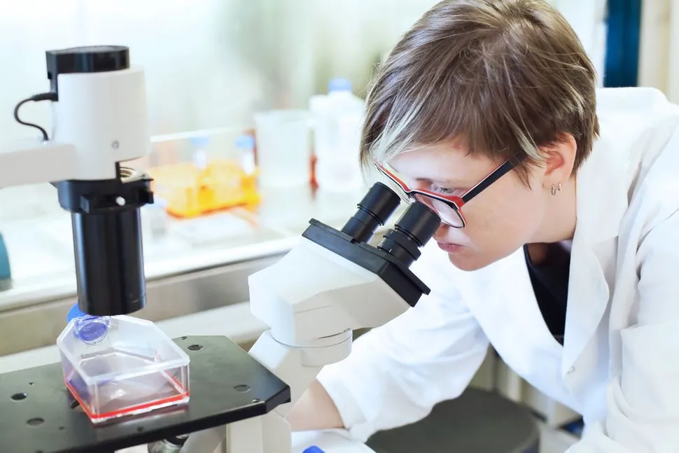 When Myeloma Patients Relapse After Becoming Refractory to Lenalidomide image