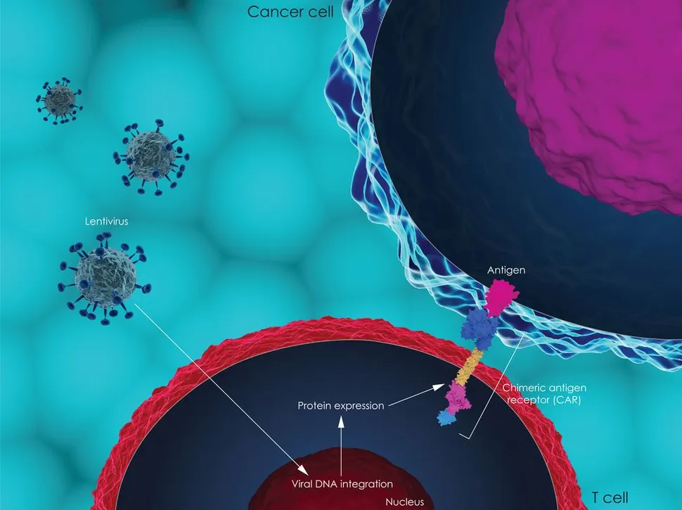 First Dual CAR T Cell Treatment on the Horizon for Multiple Myeloma image