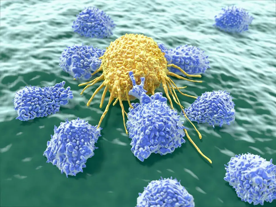 Donor Natural Killer Cell Therapy in Progress at University of Nebraska image