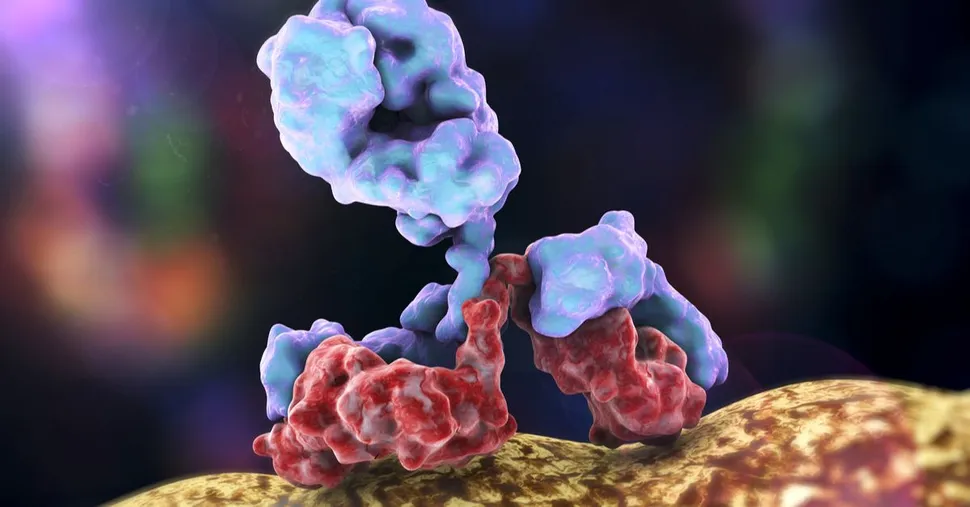 Patient Power: Monoclonal Antibodies in Myeloma image