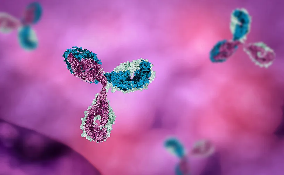 Myeloma Drug Candidate Gets Breakthrough Status image