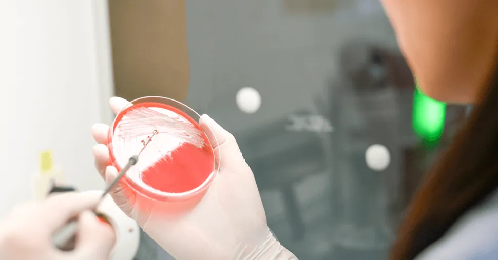 NCI Awards Grant on Overcoming Myeloma Drug Resistance image