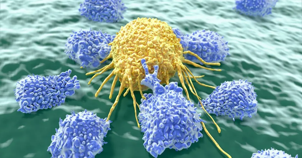 Clinical Trial: Natural Killer Cells Clinical Trial in Phase I for Relapsed and Refractory Multiple Myeloma Patients image
