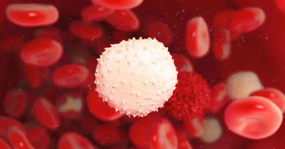 Immune System Status May Be Why Myeloma Incidence Increases With Age image
