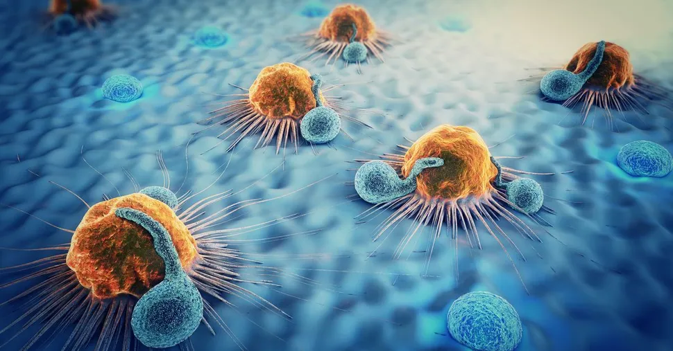 Molecule (IL-18) Helps Myeloma Hide from the Immune System and Predicts Worse Survival image