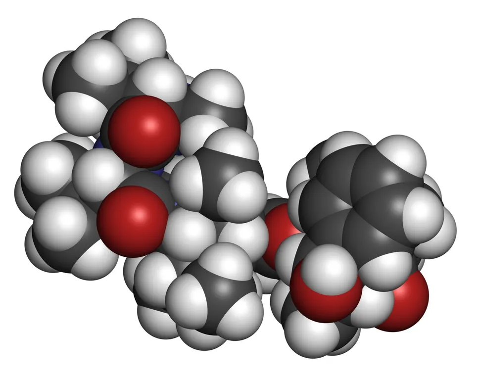 Antibody-Drug Conjugates and Multiple Myeloma image