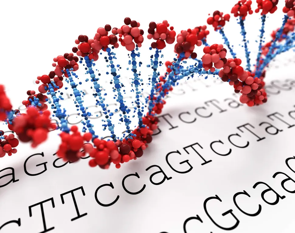 Understanding the Mutations that Cause Multiple Myeloma May Help Drive Personalized Treatment image