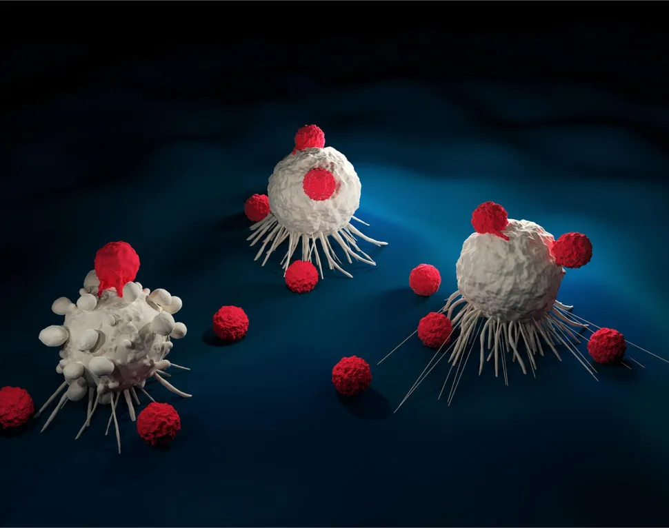 Legend Biotech and Janssen Partner on CAR T Cell Treatment for Multiple Myeloma image