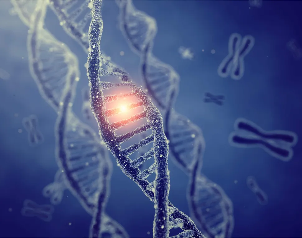 What is a FISH Test for Multiple Myeloma? image