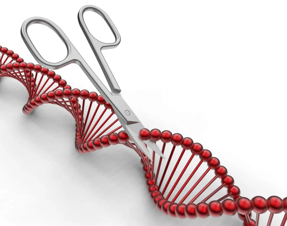 New Study Finds Potential Hazards of CRISPR Gene Editing image
