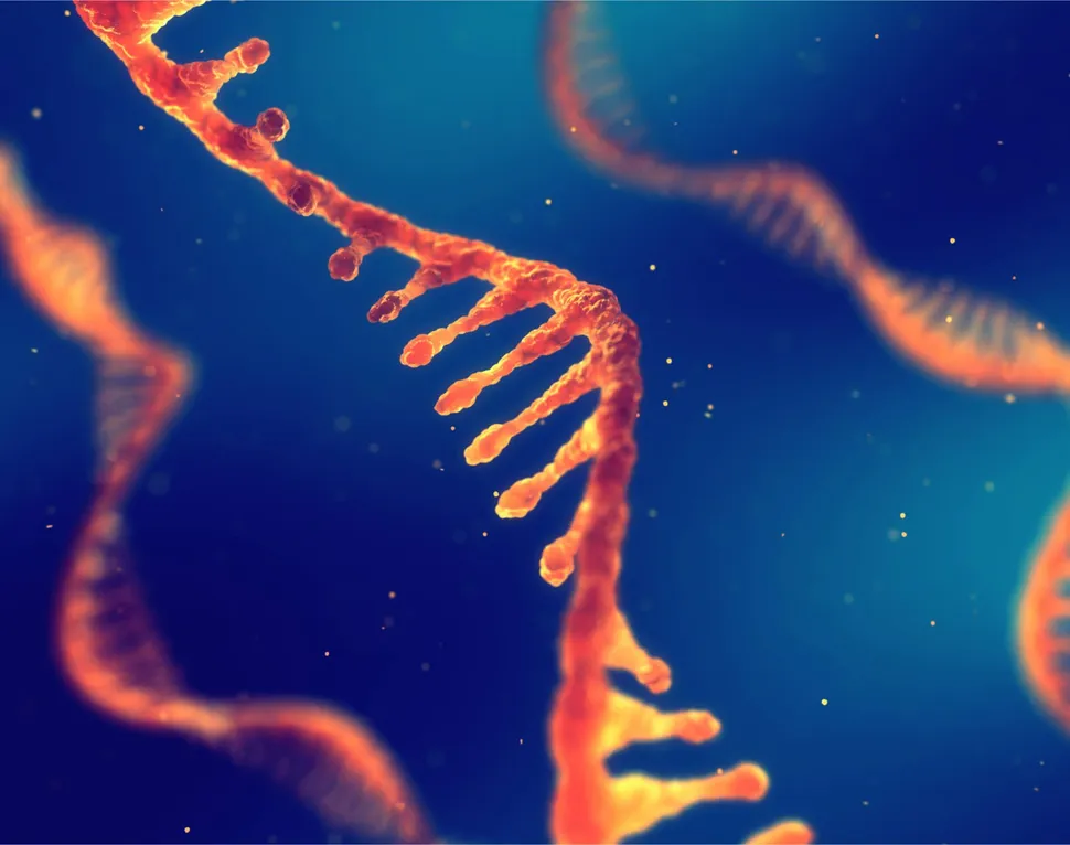 The Benefits of DNA/RNA Sequencing for Drug-Resistant Myeloma Patients image