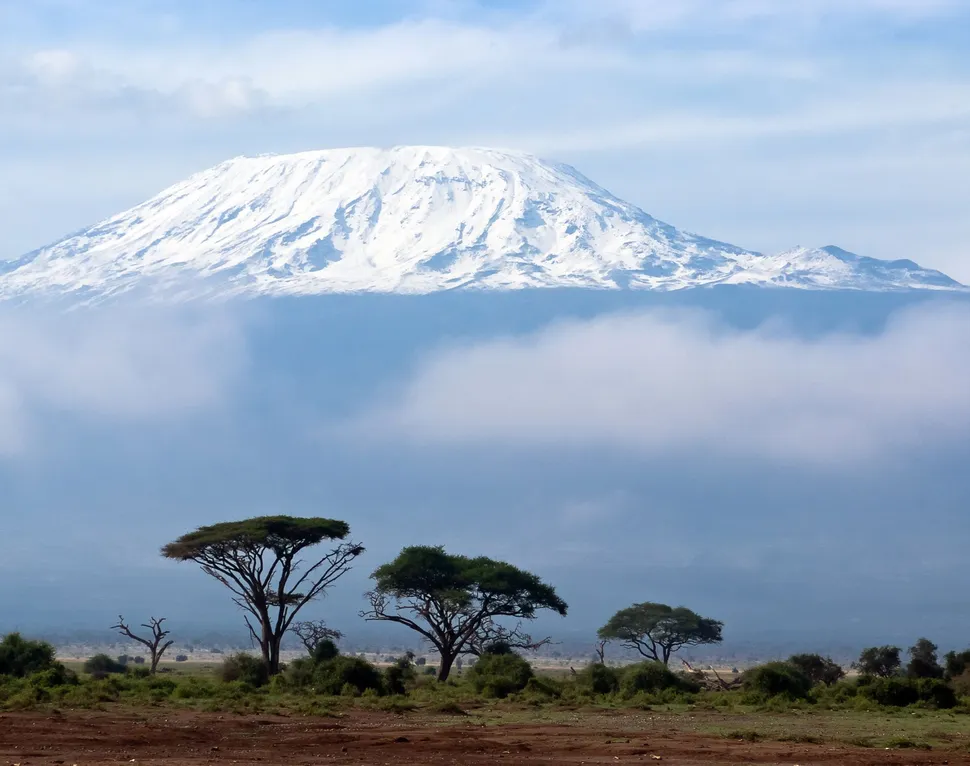 Patient Power: Patient Matt Goldman Climbs Mt. Kilimanjaro image