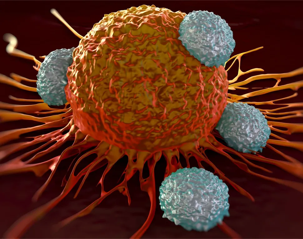 Clinical Trial: Study of CD8+ anti-BCMA CAR T-cells in Patients with Multiple Myeloma image