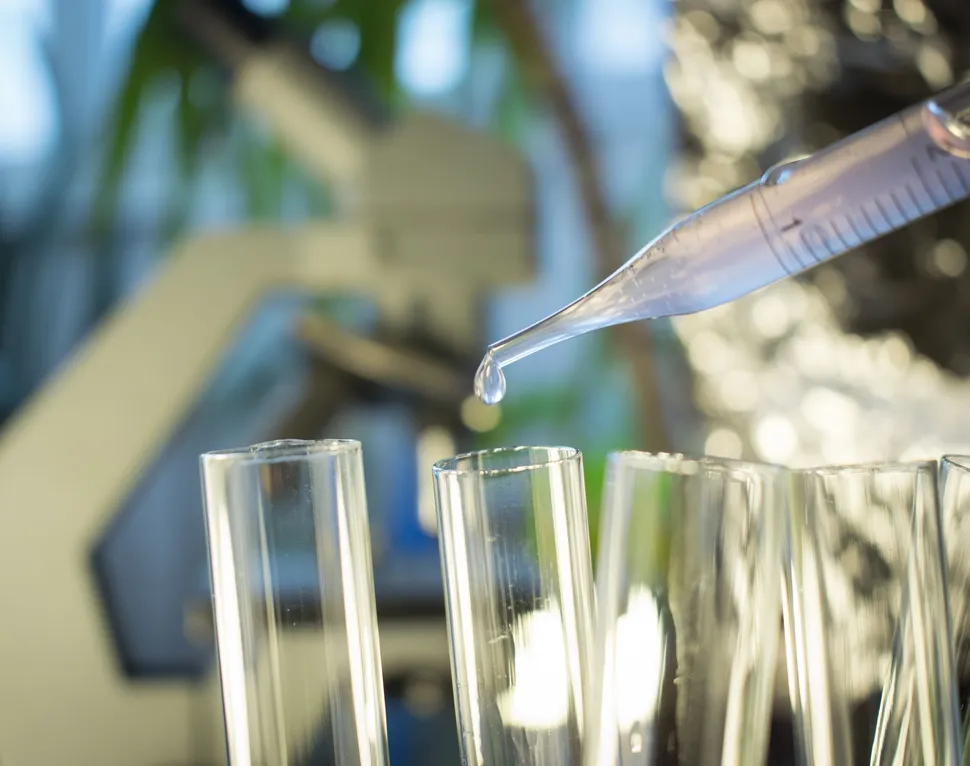 Stem Cell Transplant as a Multiple Myeloma Immunotherapy image