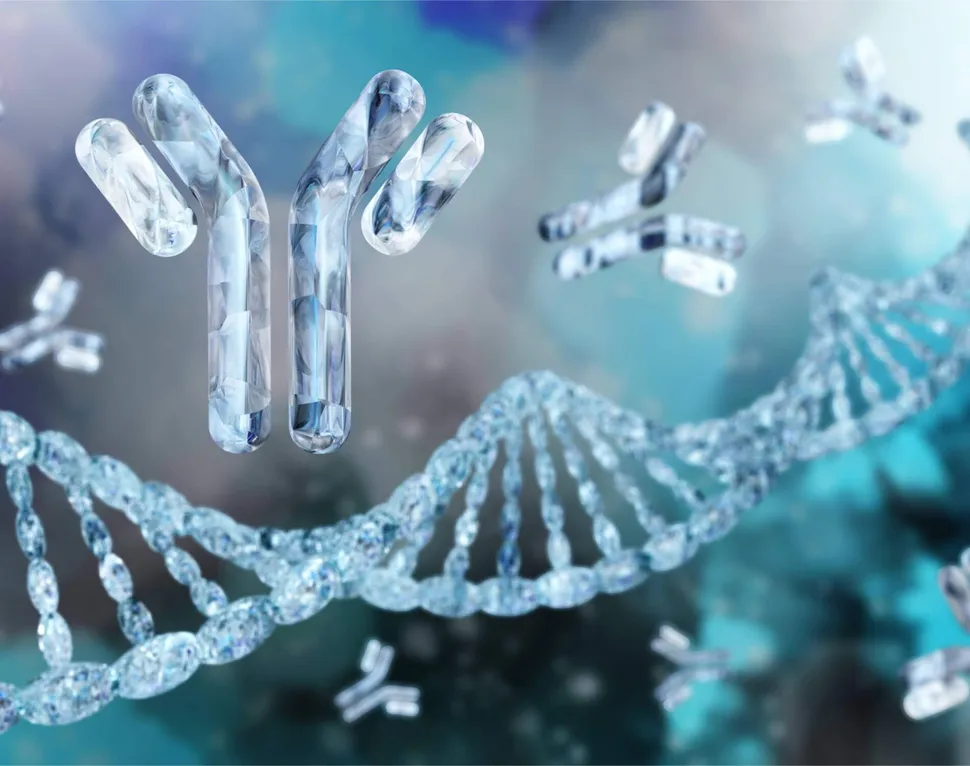 Antibody Drug Conjugates As Immunotherapy In Myeloma image