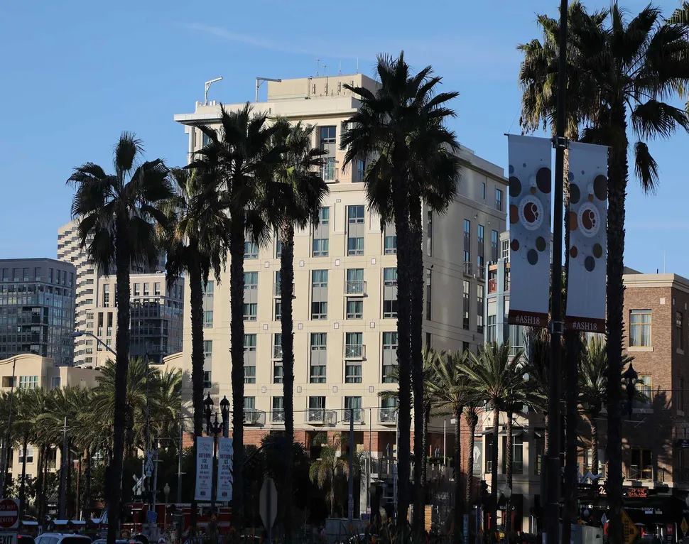 ASH 2018: Dr. Rafael Fonseca of the Mayo Clinic Selects His Top 5 ASH Myeloma Abstracts image