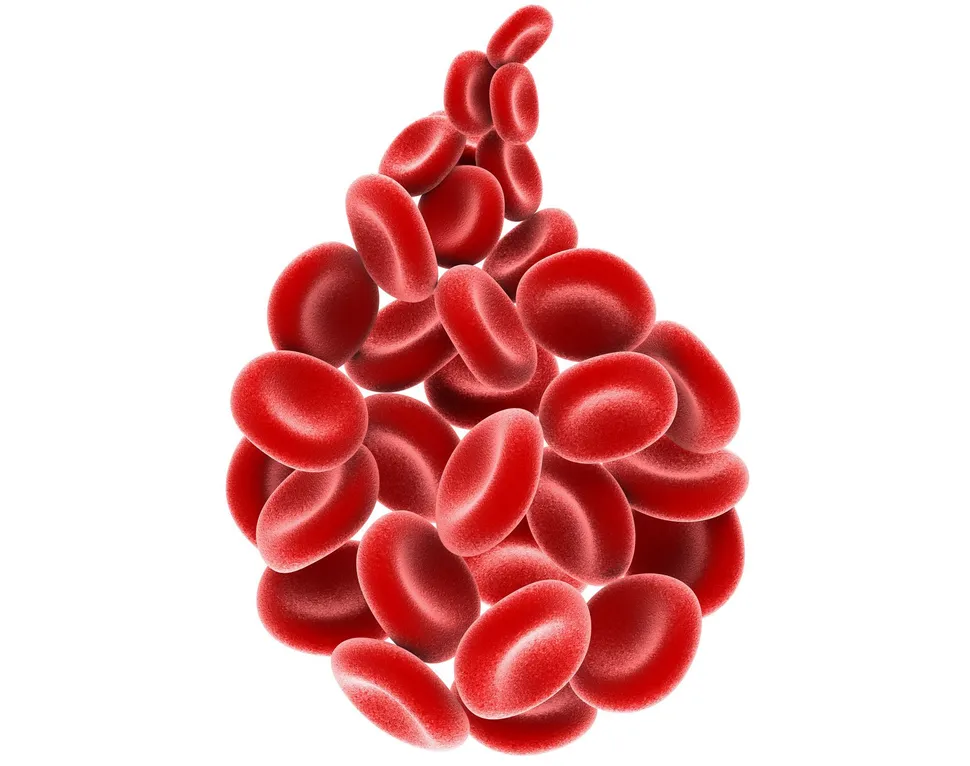 When are Blood Cancers Like Multiple Myeloma Detected? Survey Says... image