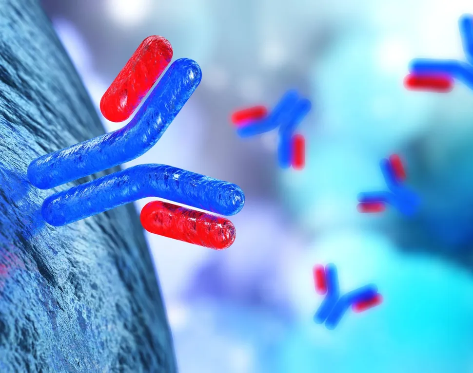 Kappa or Lambda Myeloma Testing. Is there a Difference? image