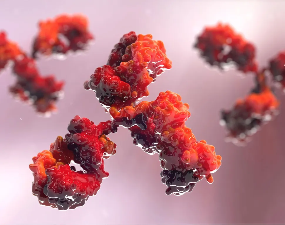First Myeloma Patient Receives New Bi-Specific Antibody (BiTE) by Teneobio and Abbvie image
