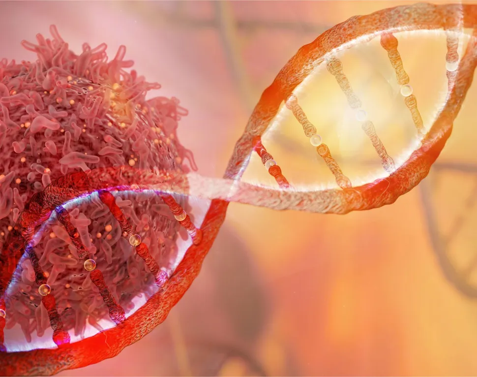 The Next Decade In Multiple Myeloma Immunotherapy image