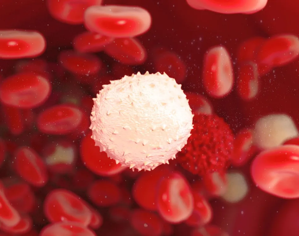 Can A Second Type of BCMA Multiple Myeloma Therapy Be Used After the First Fails? image