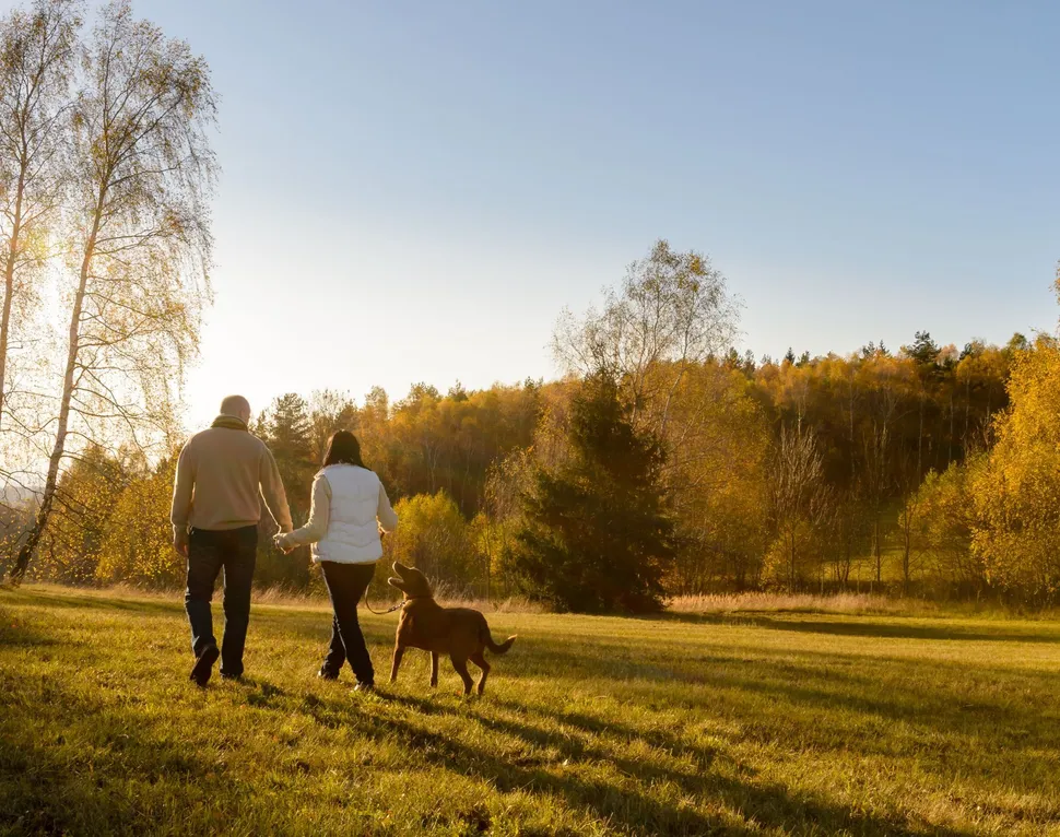 Muscles for Myeloma: Just Move--Daily Walks with Nicole image