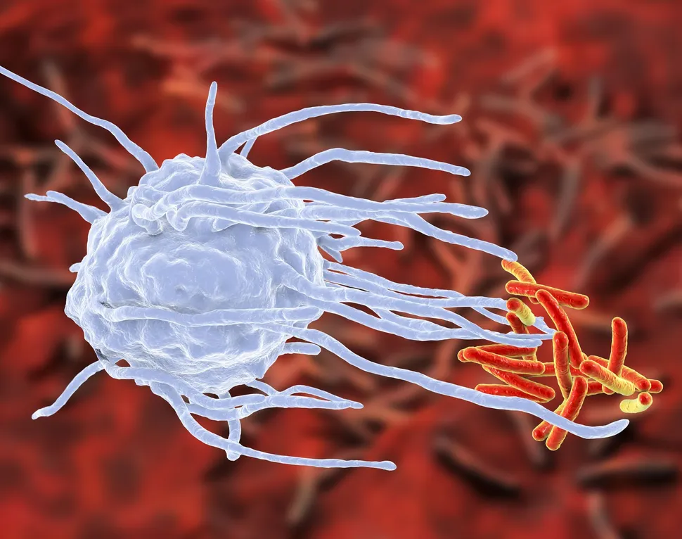 A Reason Why Myeloma Patients Might Become Resistant to Bortezomib image