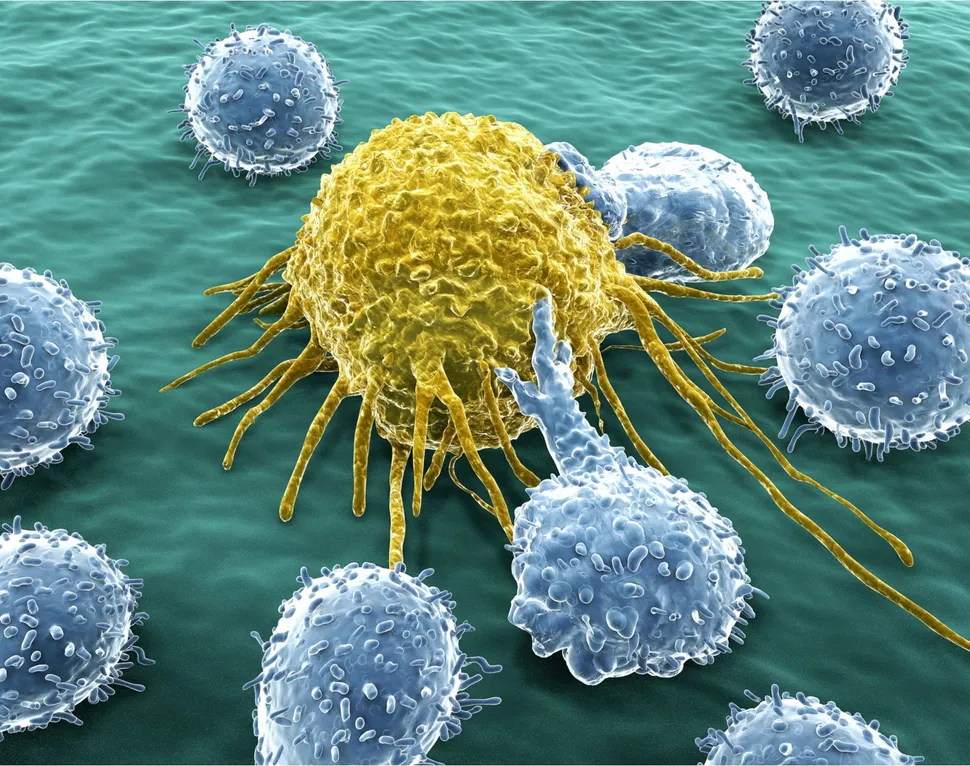 MCRI Research Update: Creating an Immune System Signature for Myeloma Patients to Predict Response to Treatment with David Chung, MD, MSKCC image