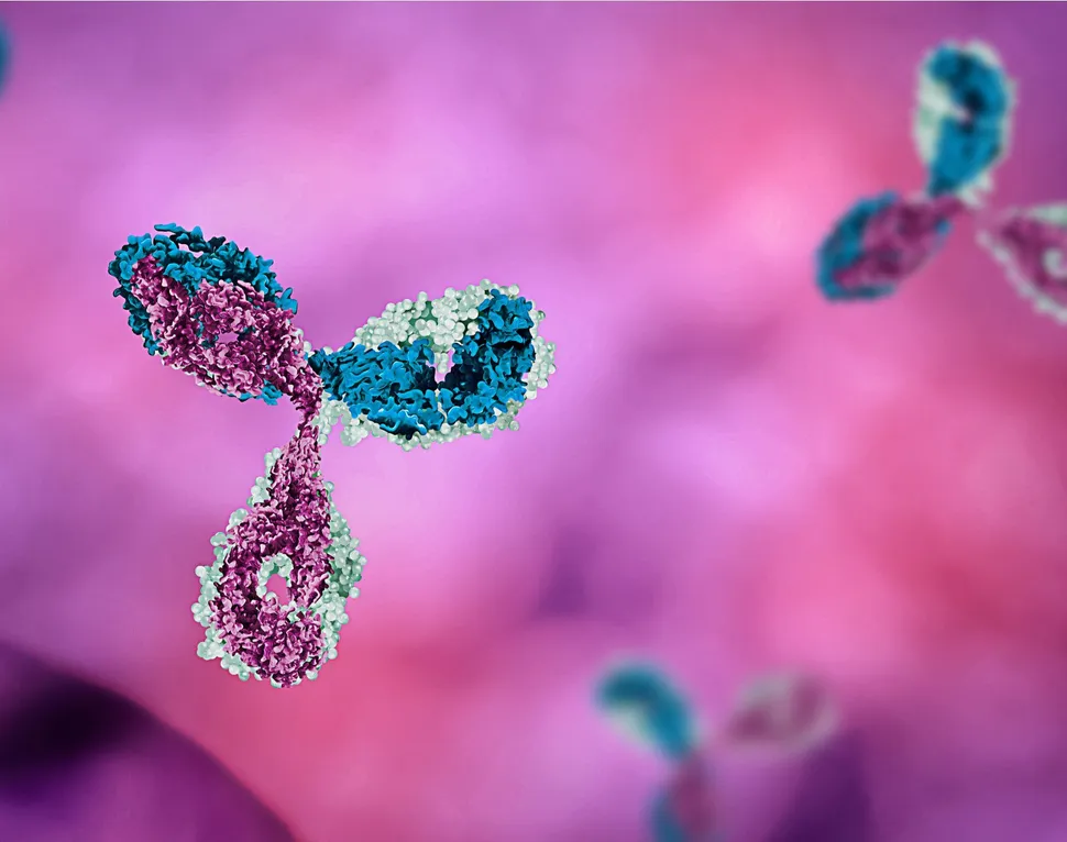 Tri-Specific Antibodies and the Fight Against Multiple Myeloma image