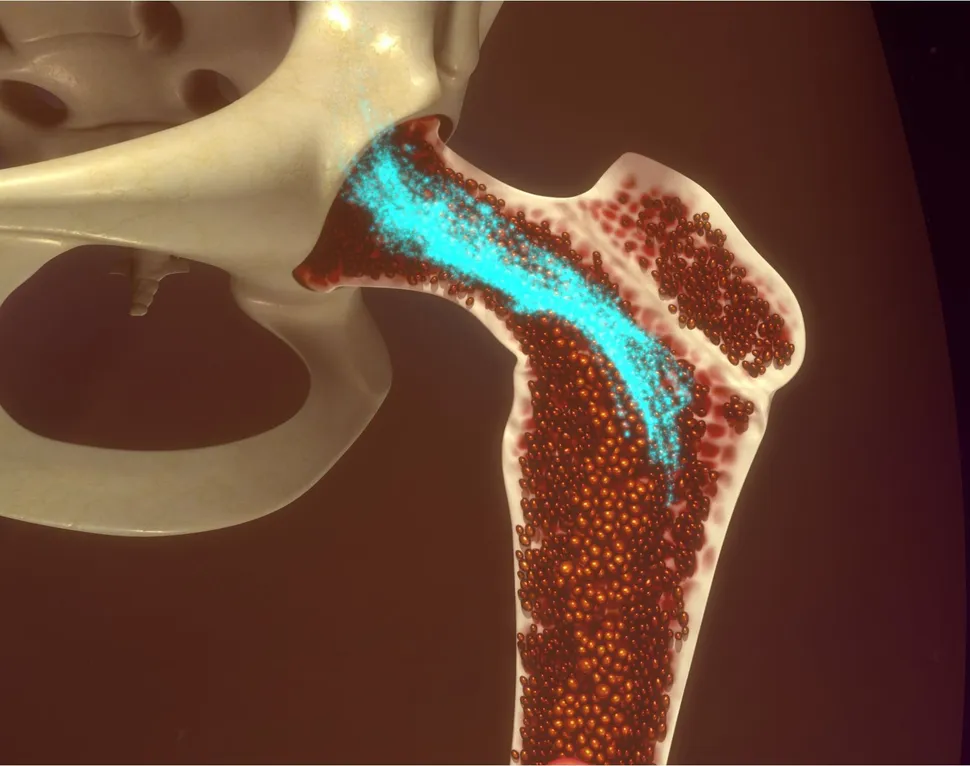 ASH 2019: The Bone Marrow Microenvironment Moves to the Forefront image