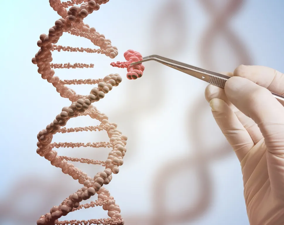 ASH 2019: Exploring the feasibility and safety of genetically engineering T-cells to treat myeloma image