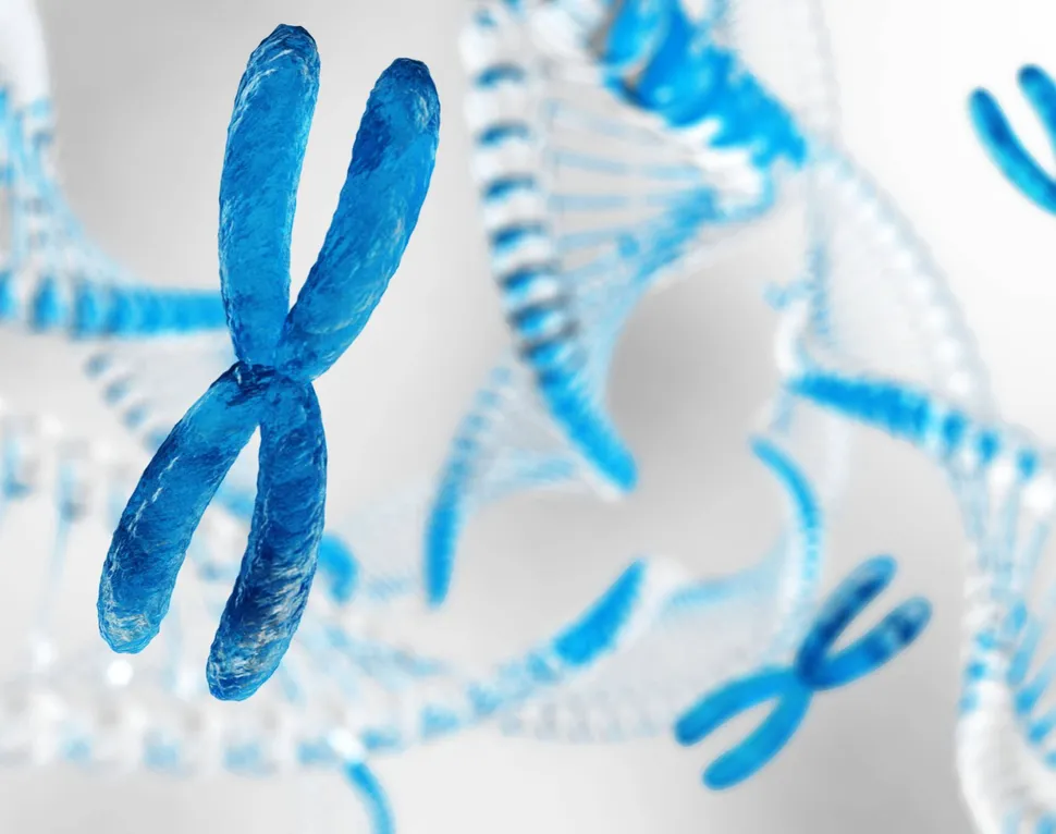 1Q Gain Multiple Myeloma is Sensitive to Specific Drug Targeting image
