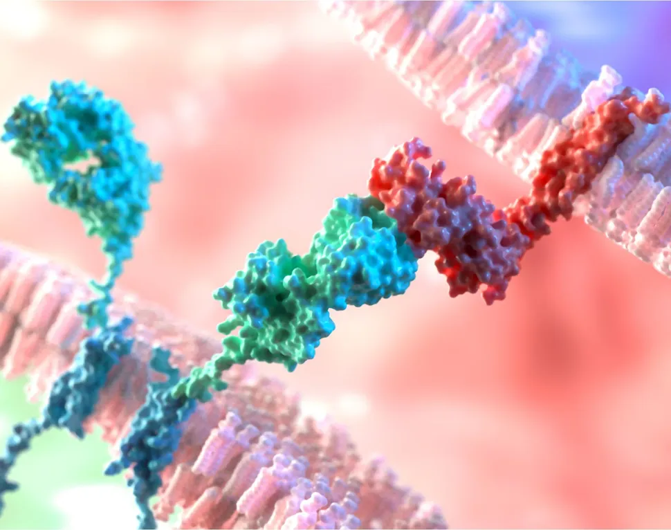 A Single T Cell Therapy for All Cancers? British Researchers Make a Key Discovery. image
