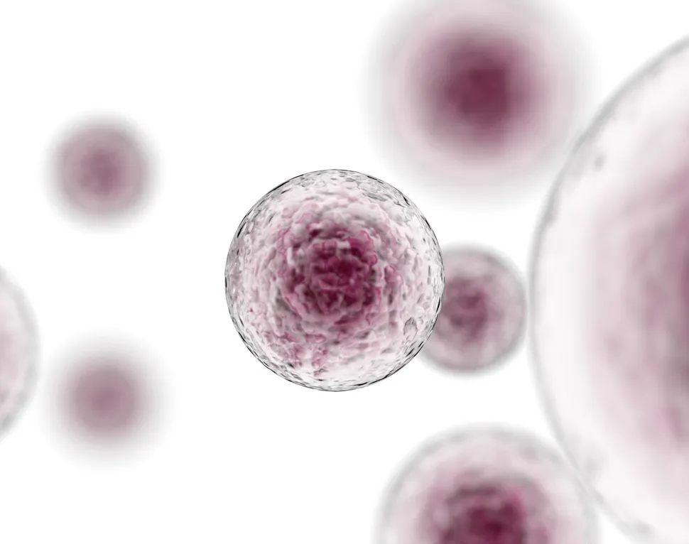 Patient Power: Myeloma Treatment in the Age of Immunotherapies image