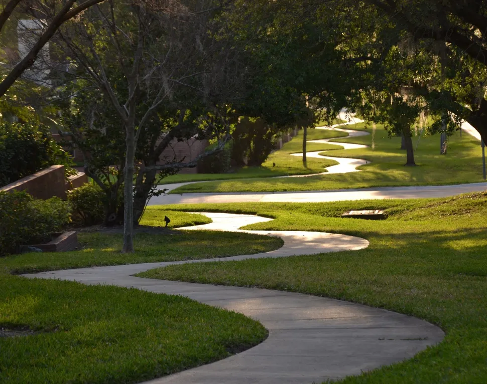 Myeloma Coaches Help Navigate Unfamiliar Territory image