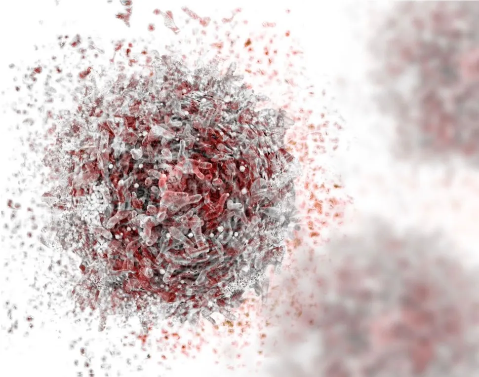 New CAR T Therapy Target CD229 Shows Impact in Multiple Myeloma image