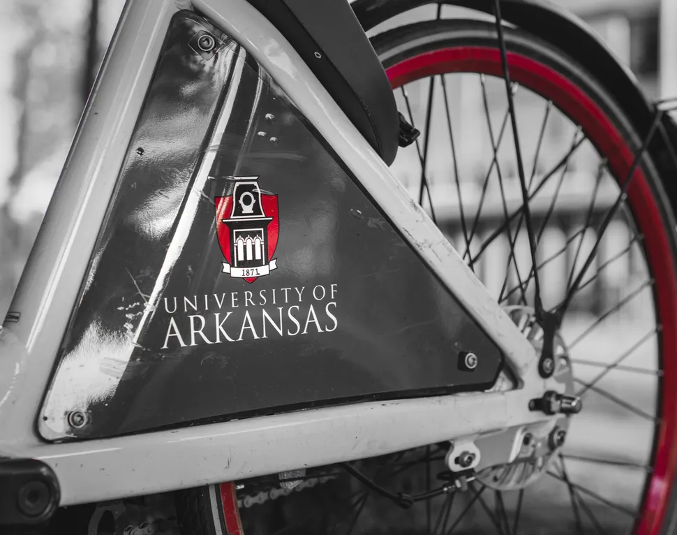 Good News for Myeloma Patients: Steadily Improving Outcomes With "Total Therapy" image