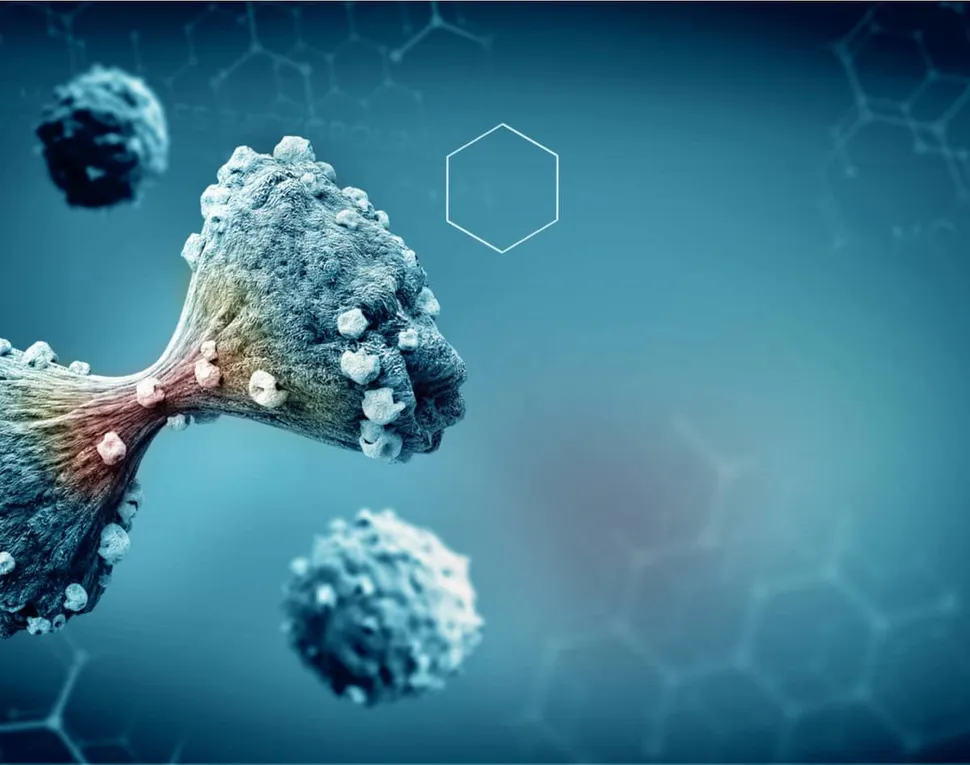 What is a Mutation? Why do Mutations Occur? image