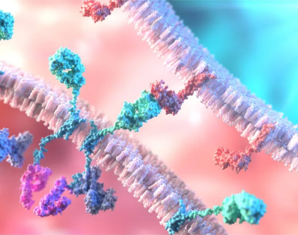 ASH 2020: Immunotherapies May Soon Take Center Stage image