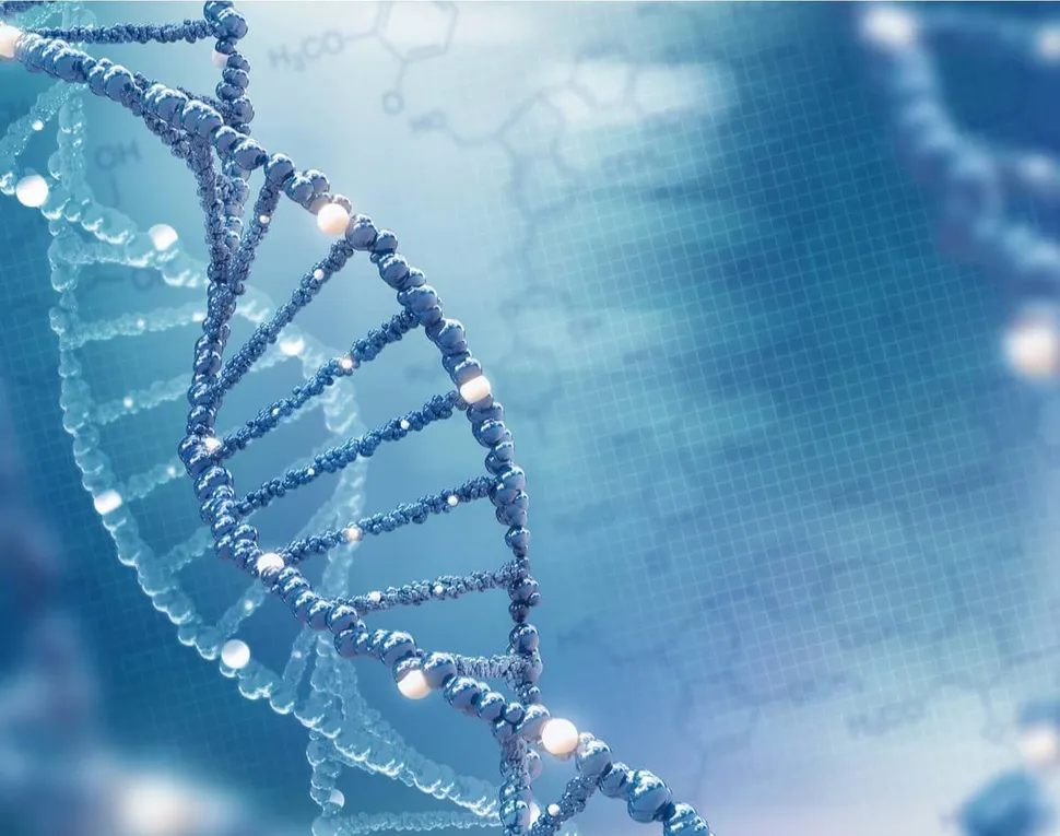 Basic Genetics Overview: Chromosomes, Genes, And DNA image