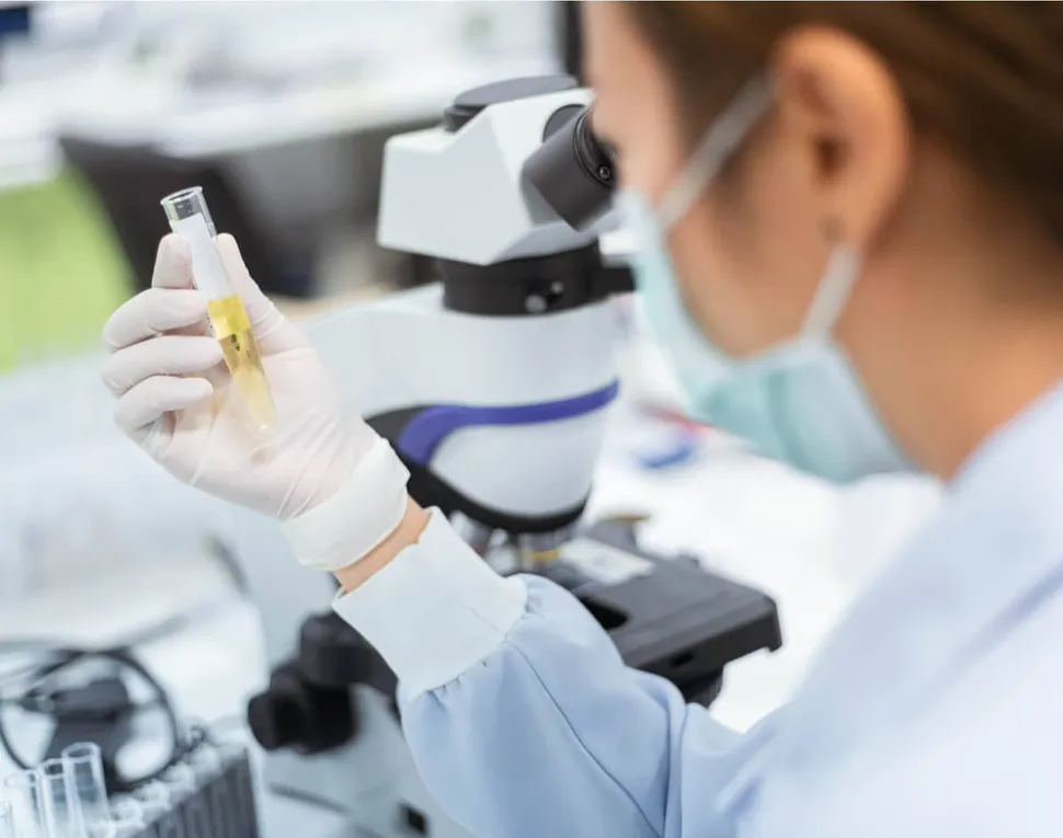 What Urine Tests are Used in Monitoring Myeloma? image