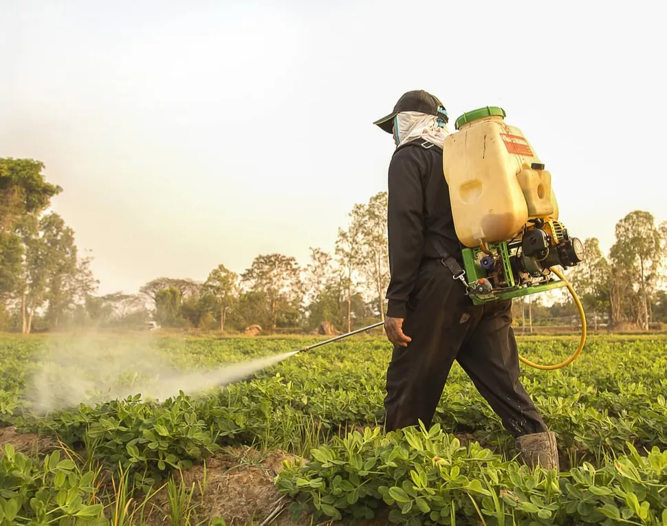 Pesticide Use Linked to Myeloma Precursor Conditions image