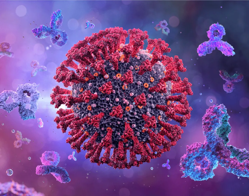 Myeloma Patient Responses to the COVID Vaccine with Dr. Parekh and Dr.  Van Oekelen, Oct 27 @ 3pm Eastern image