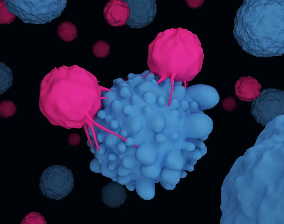 Dual Myeloma CAR T Targeting BCMA and CD19 Gets FDA Orphan Drug Designation image