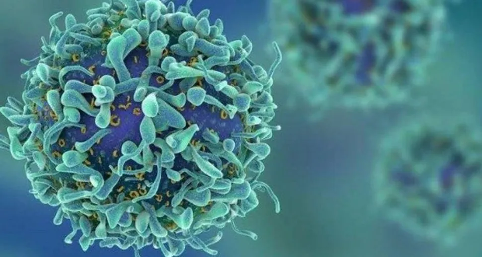 Biotecnologías Gracell: ¿Superando los retos del mieloma CAR-T? image