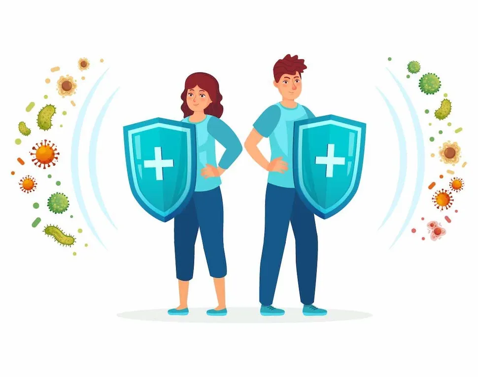 What is the Immune System and Immunotherapy in Multiple Myeloma? image