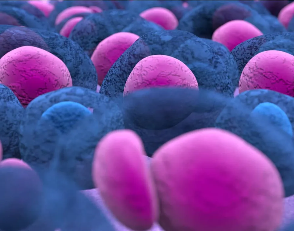 HealthTree University: Precursor Conditions (Part 2 of 3 - SMM) image