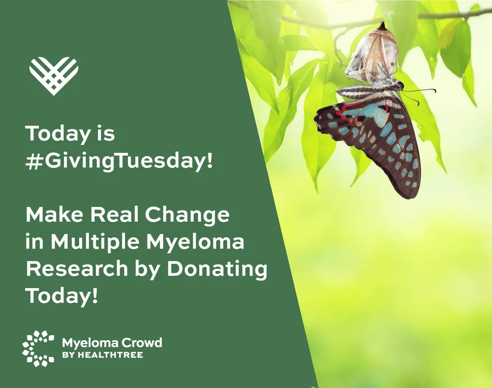 Help Us Make Change in Myeloma Research Today on #GivingTuesday image