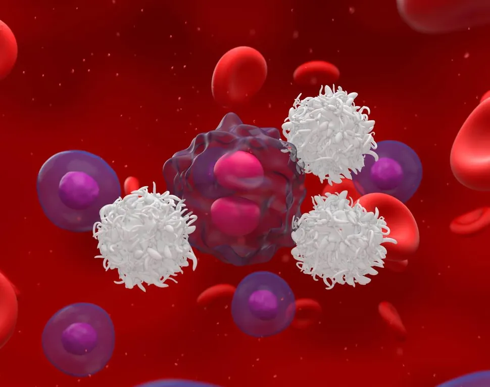 Where is MRD Testing Available? image